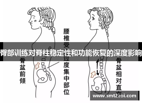 臀部训练对脊柱稳定性和功能恢复的深度影响